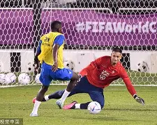 米卢做客新浪聊欧洲杯